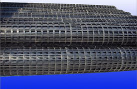 鋼塑土工格柵檢測(cè)施工效果好 邯鄲鋼塑土工格柵 水木工程材料高清圖片 高清大圖