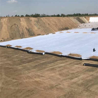 營(yíng)口鋼塑土工格柵廠(chǎng)家今日?qǐng)?bào)價(jià)及市場(chǎng)行情分析