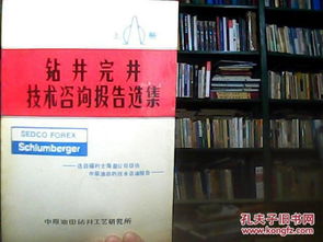 鉆井完井技術(shù)咨詢報告選集（上冊） 核心技術(shù)與實踐應(yīng)用